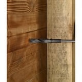 Bosch 2 608 596 347 broca Broca helicoidal 1 pieza(s), Taladro Taladro, Broca helicoidal, 1,8 cm, 600 mm, Aluminio, Metal, Madera, 1 cm