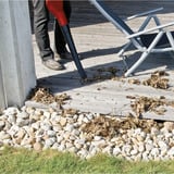 EINHELL GE-CL 18 Li E Kit aspiradora de hojas 210 kmh Negro, Rojo 18 V Ión de litio, Soplador de hojas rojo/Negro, 210 kmh, Negro, Rojo, 18 V, Ión de litio, 0,65 h, 2 Ah