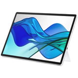 HP Pro 514pn, Monitor LED plateado