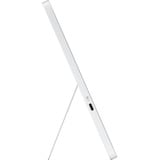 HP Pro 514pn, Monitor LED plateado
