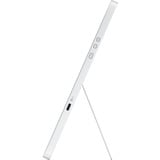 HP Pro 514pn, Monitor LED plateado