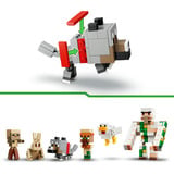 LEGO 21592, Juegos de construcción 