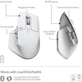 Logitech 910-006572 ratón Oficina mano derecha Bluetooth Laser 8000 DPI gris claro, mano derecha, Laser, Bluetooth, 8000 DPI, Gris