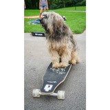 Muuwmi 625, Skateboard negro/Verde