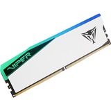 Patriot DIMM 32 GB DDR5-6000, Memoria RAM blanco