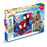 Ravensburger 05730, Puzzle 
