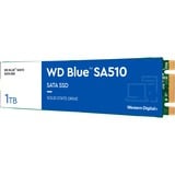 WD Blue SA510 M.2 1000 GB Serial ATA III, Unidad de estado sólido azul/blanco, 1000 GB, M.2, 560 MB/s, 6 Gbit/s