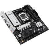 ASUS 90MB1LN0-M0EAY0, Placa base 