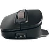 CHERRY Stream Mouse ULTIMATE, Ratón negro/Cobre