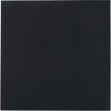 Thermal Grizzly Minus Pad Advance - 100x100x1,0 mm, Almohadillas térmicas 