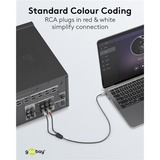 goobay Cable adaptador de audio Plus AUX 3,5mm jack > conector estéreo Cinch negro/Plateado