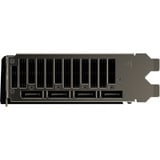 ASRock Intel® Arc Pro B60 Creator 24GB, Tarjeta gráfica 