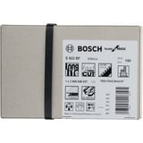 Bosch 2 608 656 027 hoja de sierra de calar, de sierra de marquetería y de sierra recíproca Hoja para sierra recíproca Bimetálico 100 pieza(s) Hoja para sierra recíproca, Metal, Pipa, Bimetálico, 2 mm, 0,9 mm, 15 cm