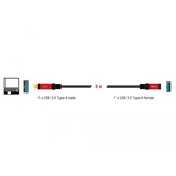 DeLOCK 82755, Cable alargador negro/Rojo