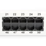 Digitus Panel de parcheo CAT 3 ISDN, sin blindaje, 50 puertos, Patch Panel gris