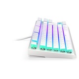 ENDORFY EY5D012, Teclado para gaming blanco