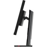 Lenovo ThinkVision P32pz-30 LED display 80 cm (31.5") 3840 x 2160 Pixeles 4K Ultra HD LCD Negro, Monitor LED negro, 80 cm (31.5"), 3840 x 2160 Pixeles, 4K Ultra HD, LCD, 6 ms, Negro