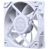 Phanteks PH-F120M25_G2_DWT01_3P, Ventilador blanco