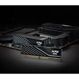 ADATA AX5U6000C4816G-SLABBK, Memoria RAM negro
