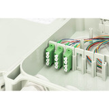Digitus Caja de conexión FTTH/FTTB - equipada, OS2 12 fibras, Caja de fíbra óptica gris