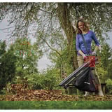 EINHELL Power X-Change Aspiradora de hojas a batería VENTURRO 18/210, 18Volt, Aspirador/soplador rojo/Negro