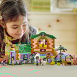LEGO 42654, Juegos de construcción 