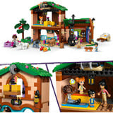 LEGO 42654, Juegos de construcción 