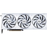 MSI V531-062R, Tarjeta gráfica 