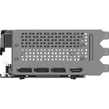 PNY GeForce RTX 5070 Ti ARGB OC, Tarjeta gráfica 