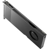 PNY NVIDIA RTX PRO 4000 Blackwell 24GB SB, Tarjeta gráfica A granel