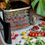 Rommelsbacher Mini deshidratador DA 450, Secado de la máquina acero fino/Negro