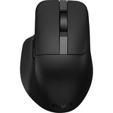 ASUS ProArt Mouse MD301, Ratón negro