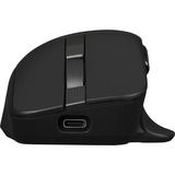 ASUS ProArt Mouse MD301, Ratón negro