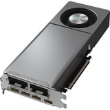 GIGABYTE GV-R9700AI TOP-32GD, Tarjeta gráfica negro