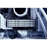 Kingston FURY KF556C40BW-32, Memoria RAM blanco