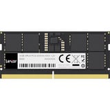 Lexar LD5S08G56C46ST-HGN, Memoria RAM negro
