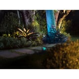 Philips Hue 915005842601, Luz de LED negro