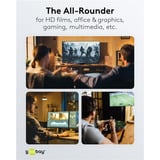 goobay Cable DisplayPort 2.0/2.1 Slim plateado/Negro