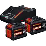 Bosch Set de inicio EXPERT 18V, 2x EXBA 18V-150 + cargador EXAL18V-160, Conjunto negro