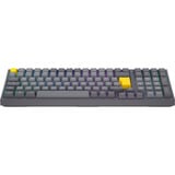 ENDORFY EY5D034, Teclado para gaming gris