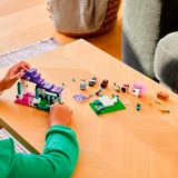 LEGO 21253, Juegos de construcción 