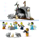 LEGO 60471, Juegos de construcción 