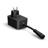 Philips Hue Hue White & Color Ambiance Guirnalda Festavia 20m, Lichterkette 