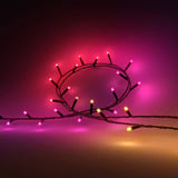 Philips Hue Hue White & Color Ambiance Guirnalda Festavia 20m, Luces de cuerda 