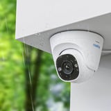 Reolink P324, Cámara de vigilancia blanco