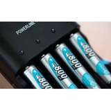 Ansmann 800 mAh - Micro / AAA / HR03 Níquel-metal hidruro (NiMH), Batería plateado, AAA, Níquel-metal hidruro (NiMH), 1,2 V, 800 mAh, 10.5 x 44.5