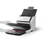 Epson WorkForce DS-530 III, Escáner de alimentación de hojas gris/Negro