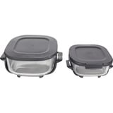 Ninja FN101EUST, Freidora de aire caliente gris/Transparente