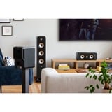 Polk Audio Signature Elite ES15, Altavoz negro