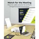 goobay Cable adaptador USB, conector USB-C > conector DisplayPort, 4K 60Hz negro